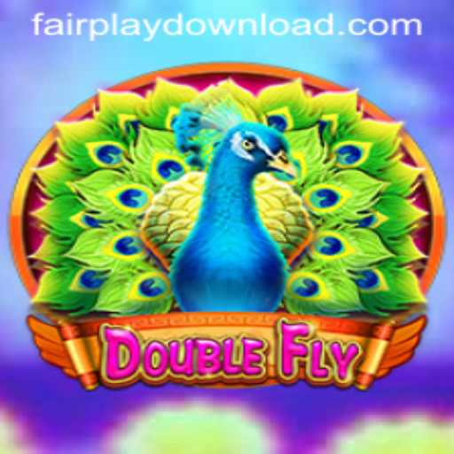 DoubleFly: A Comprehensive Insight into the Game and Its Fairplay Principles